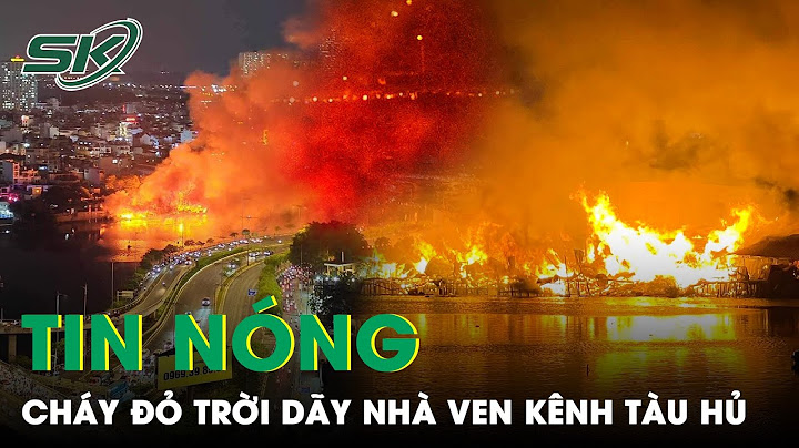 1 4 là bao nhiêu trái banh năm 2024