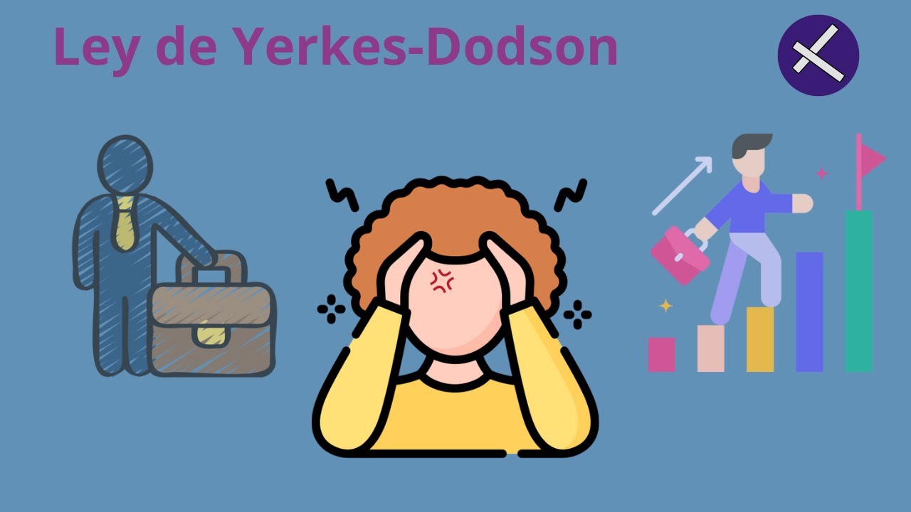 Ley de YerkesDodson la teoría que explica por qué algunas personas