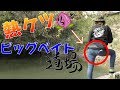 【バス釣り】ビッグベイトでバスを釣りたい!!~YouTuber感濃いめ~