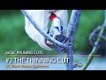 Basic Pruning Cuts 2: The Thinning Cut