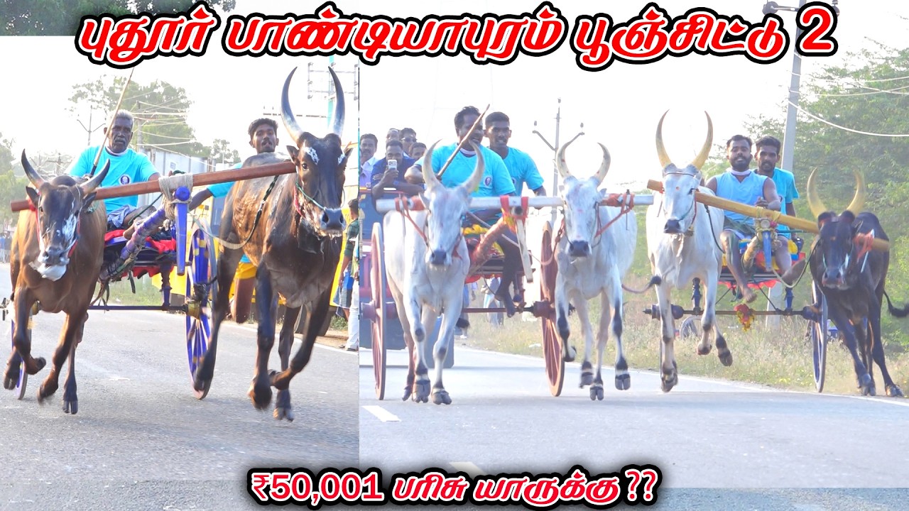 2புதூர்பாண்டியாபுரம்-பூஞ்சிட்டு-பந்தயம்_28.02.2026_V_Photography