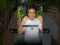 Franquia PEC tem limite de território? #empreendedorismo #franquia