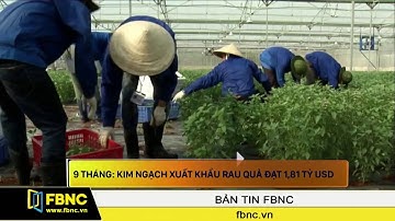 FBNC - 9 tháng Kim ngạch xuất khẩu rau quả đạt 1,81 tỷ USD