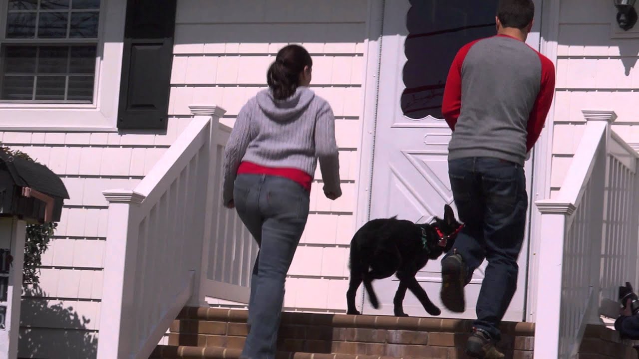 rescue dogs rock nyc Meet Mona: A Lucky Mutt (As Seen On The View)