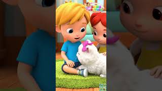 meao meao billi aayi | #kiddierhymeswithvarsha #shorts 😺 | Cute Cat Rhyme for Kids | Hindi Rhyme