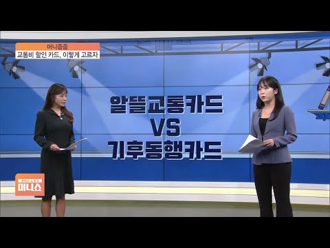 알뜰교통카드 vs. 기후동행카드…뭐가 더 저렴할까? [머니줍줍]