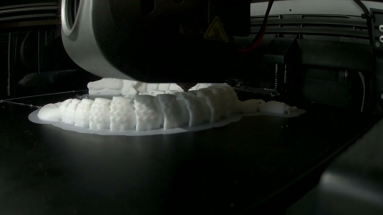 3D Printing Flexi Leaf Dragon