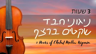 ניגוני חב'ד שקטים ונעימים ברצף  3 שעות  Chabad Mellow Nigunim Setlist  3 Hours