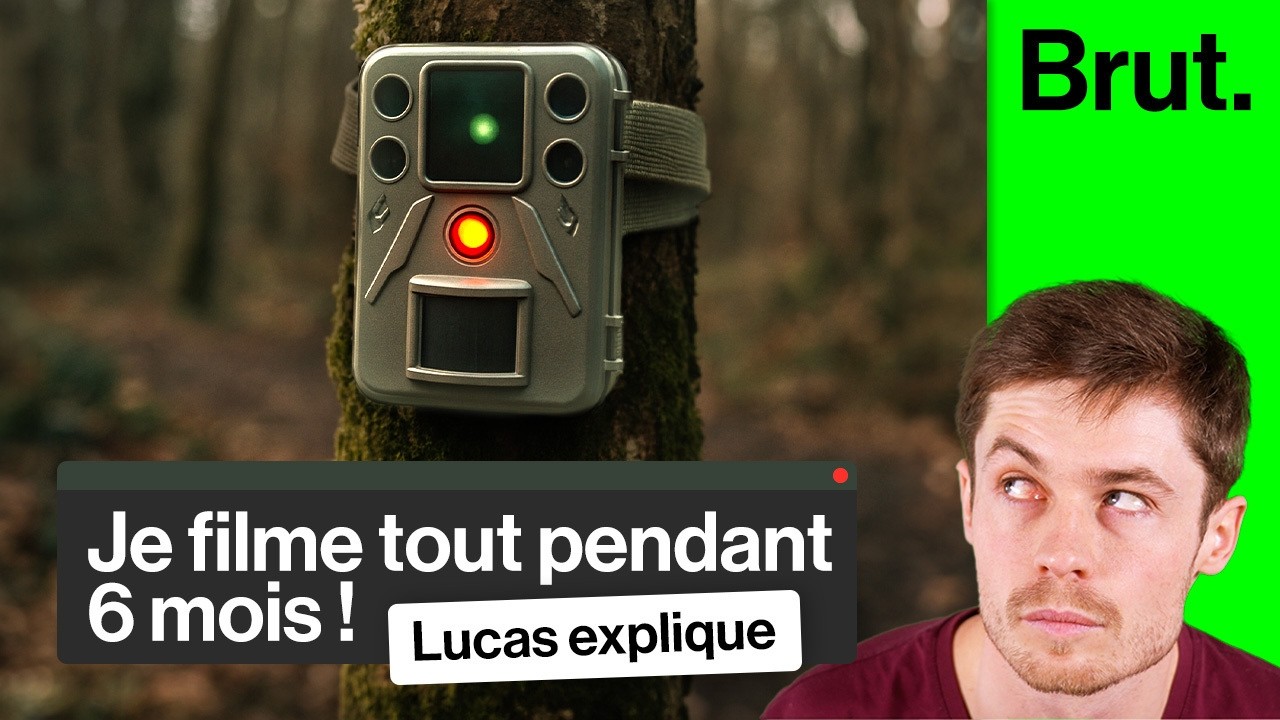 Cette caméra capture plein d'animaux derrière chez moi... elle m'explique leurs secrets