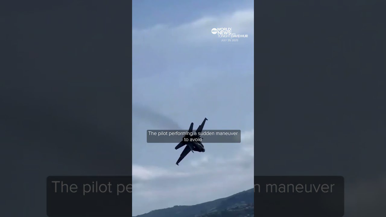 Spanish Air Force Pilot S Shocking Maneuver To Avoid Bird Strike