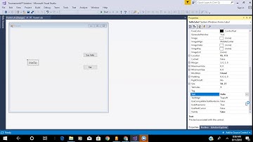 Visible option in Visual Studio