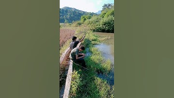 Một buổi chiều bình yên đi câu cá rô phi trên bản Tây Bắc