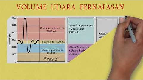 Apa 3 fungsi hidung dalam sistem pernapasan manusia?