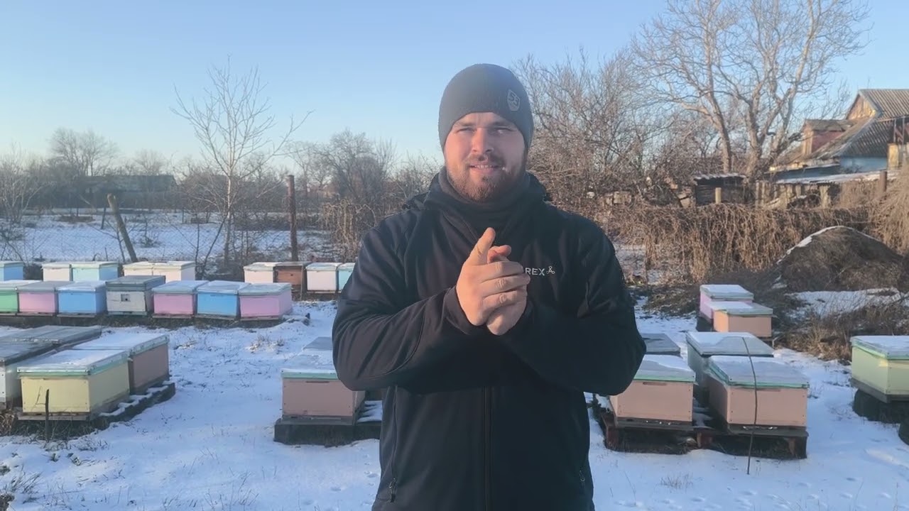 Где купить пчел подешевле☝️🐝💸