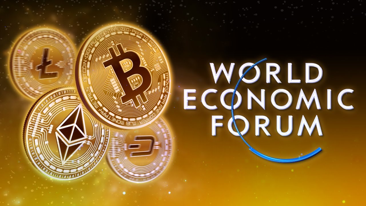 The World Economic Forum Hates Crypto...