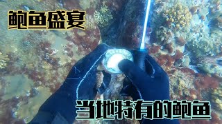 这些鲍鱼生长在外海岛，是当地有名的野生鲍鱼，可想而知它的价值