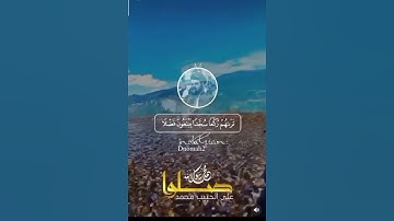 محمد رسول الله | تلاوة رائعة | الشيخ رعد الكردي