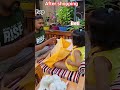BAP BETI DRAMA😇 | #shorts #bapbetamasti #funny #diamondcreation