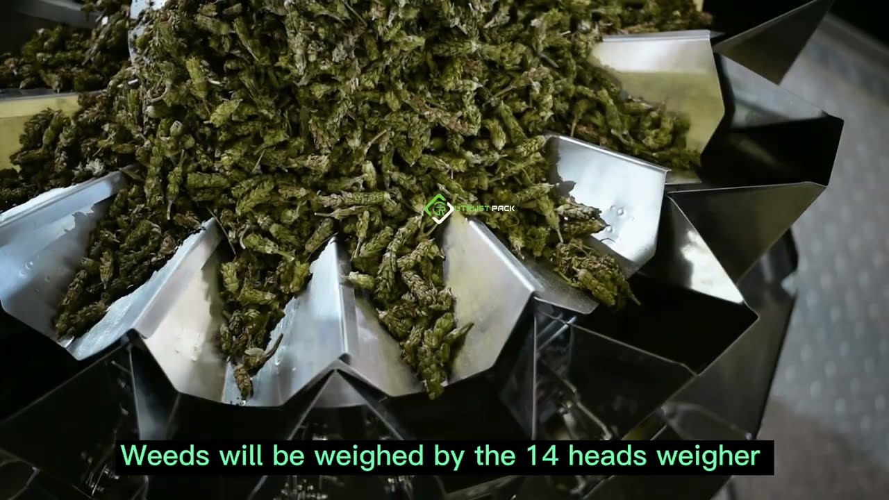 3.5 grams CBD plasitc can weighing and sealing line.