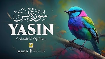 Surah Yasin (Yaseen) سورة يس | Marvelous Quran Really Heart Touching Voice | Zikrullah TV