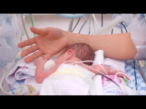 Video: Жети Baby Bells эмне болгон?
