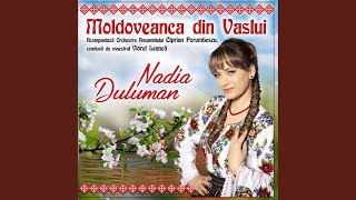 Download Lagu Sârba pentru zile mari Download Lagu Sârba pentru zile mari