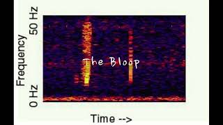 The Bloop (Iceberg)