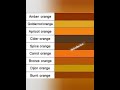 ORANGE Color Shades Orange K Itne Shades Orange Color Shade Nidcollection 