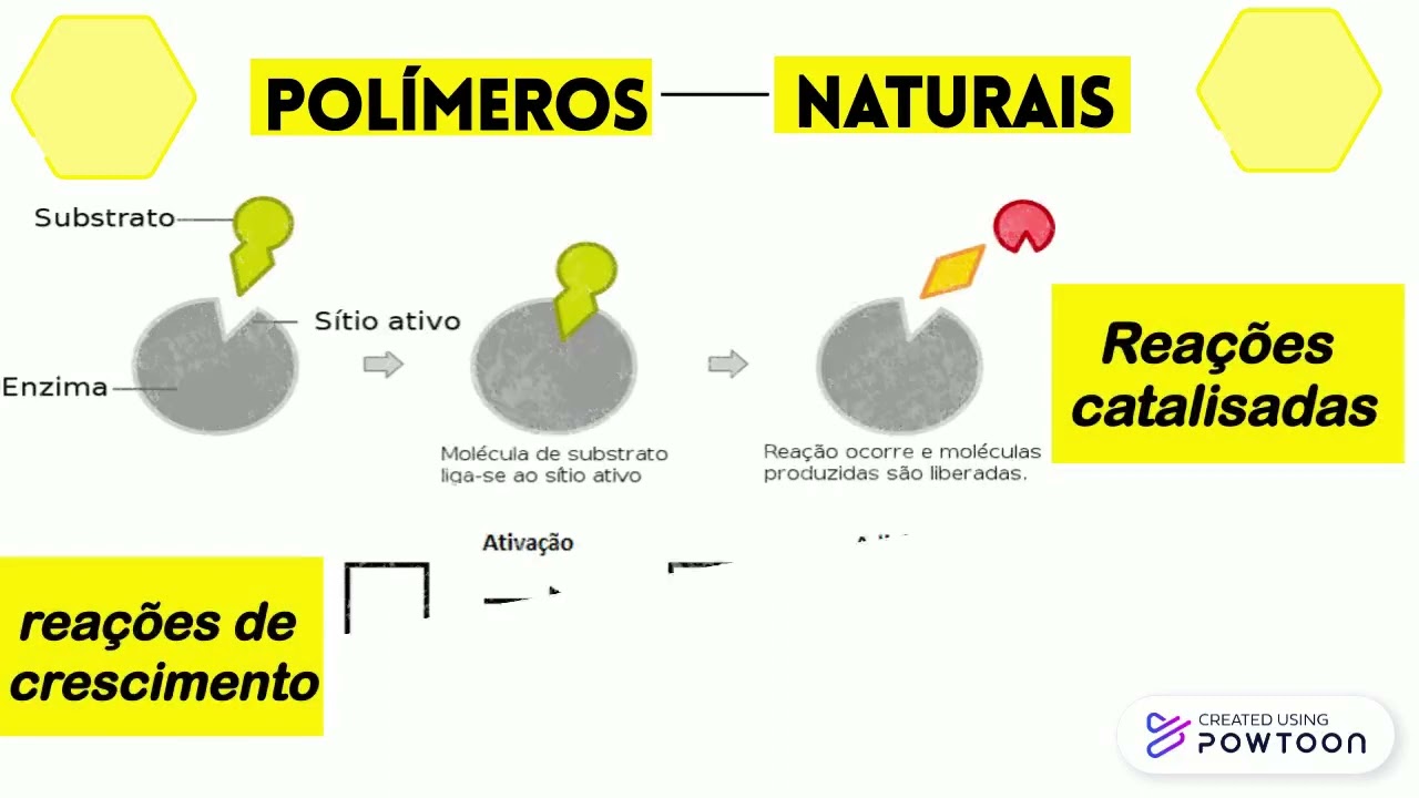 Polímeros Biodegradáveis
