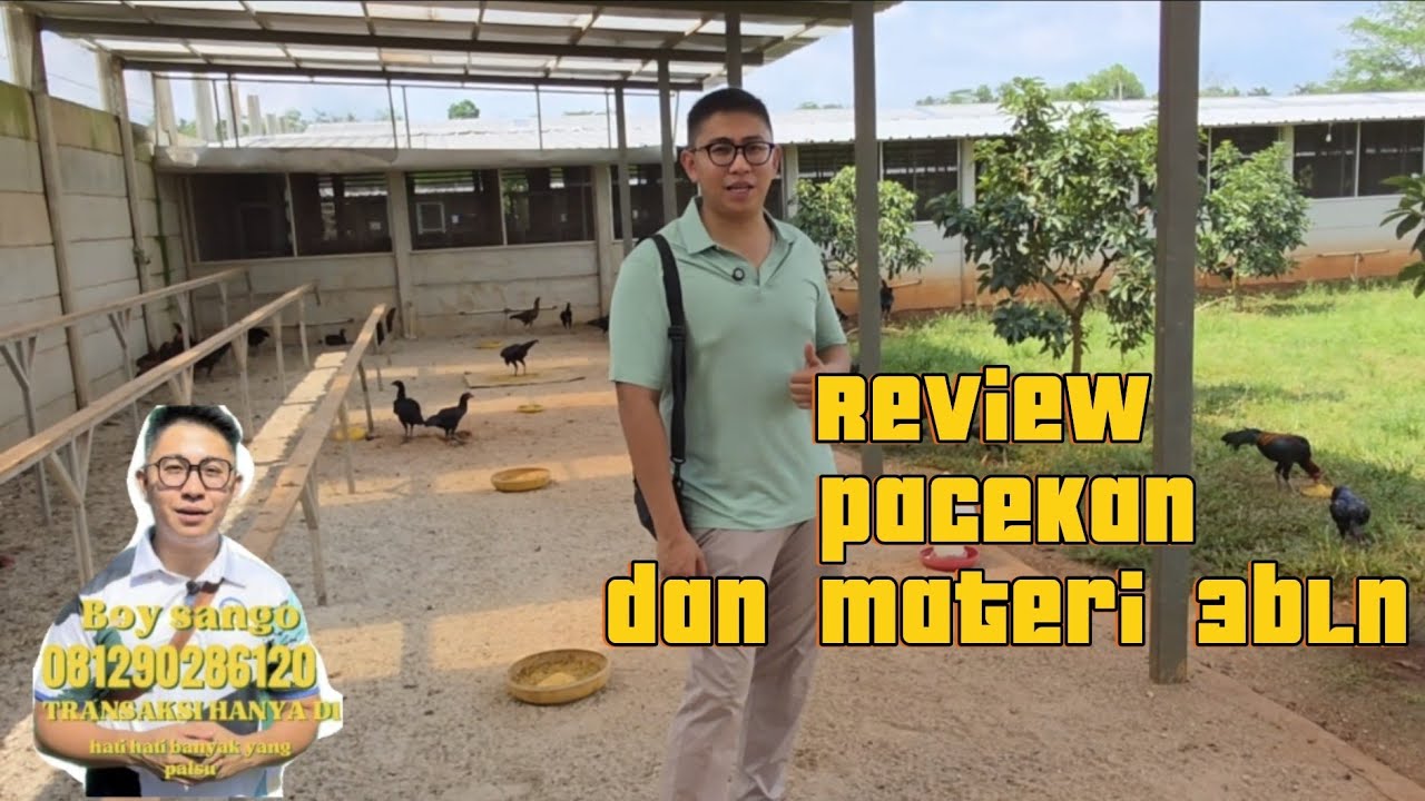 REVIEW PACEKAN DAN ANAKAN 3 BULAN