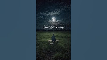 اكتب شيء تؤجر عليه 😴🤍 القارئ فارس عباد