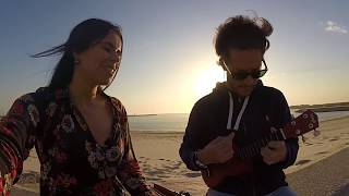 Alexander Search  - A Day of Sun (Cover)