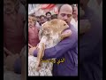 خروف يبك بعد أن باعه صاحبه في العيد Sheep Crying 2023 Sheep 