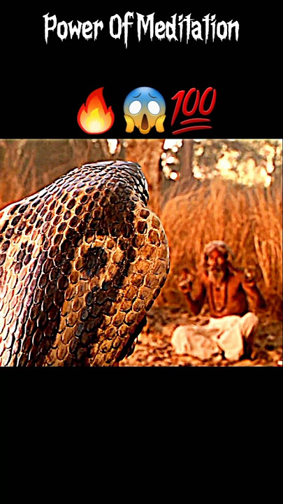 Power Of Meditation 🧘‍♂️ 💯😱🔥||Gautam Buddha Status #shorts #ytshorts #short #trending