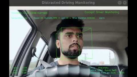 Lizmotors - Distracted Driving