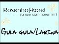 Gula Gula Larina Sommerkonserten 2015 