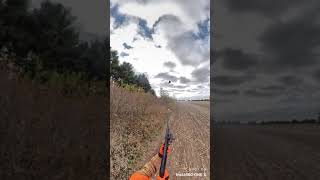 Pheasant Hunting - Nov 1, 2020
