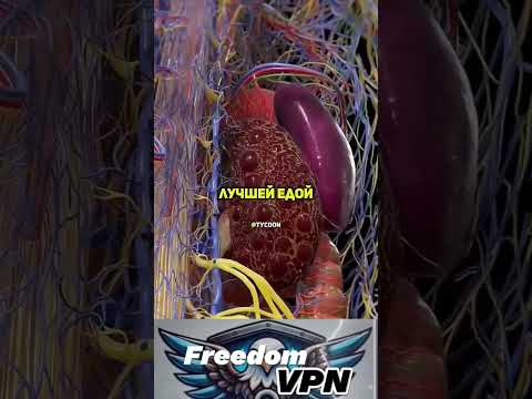 Лучшая еда для набора мышечной массы #vpn #впн #безопасность #спорт #еда