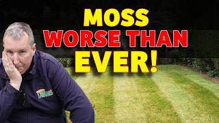 Why Moss is ALWAYS Worse After a Dry Summer (How to STOP it)