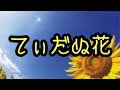 てぃだぬ花