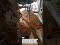 Removing Tree Bark Like a Pro! 🪵🔥
