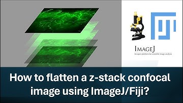 Part-2: How to flatten a z-stack confocal image using ImageJ/Fiji?
