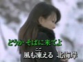 北海岸(田川寿美)カバー