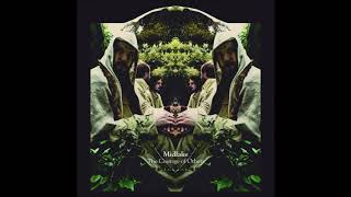 Midlake - Children of the Grounds