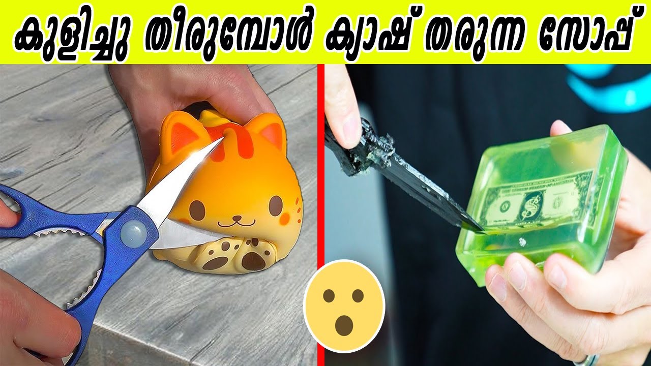 നമുക്ക് ചുറ്റുമുള്ള വസ്തുക്കൾ ഇങ്ങനെയാണോ ! രണ്ടായി മുറിച്ച ആമയും കുളിക്കുമ്പോൾ ഡോളർ തരുന്ന സോപ്പും
