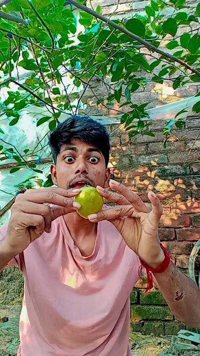 Want to try my oranges?✨🍊