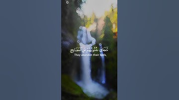 تلاوه تاخذك الى عالم آخر🤍🌱||راحــه نفسيه||ستوري قرآنQuran🌱