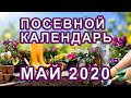 Лунный ПОСЕВНОЙ календарь на МАЙ 2020 🌱 КАЛЕНДАРЬ ОГОРОДНИКА и САДОВОДА