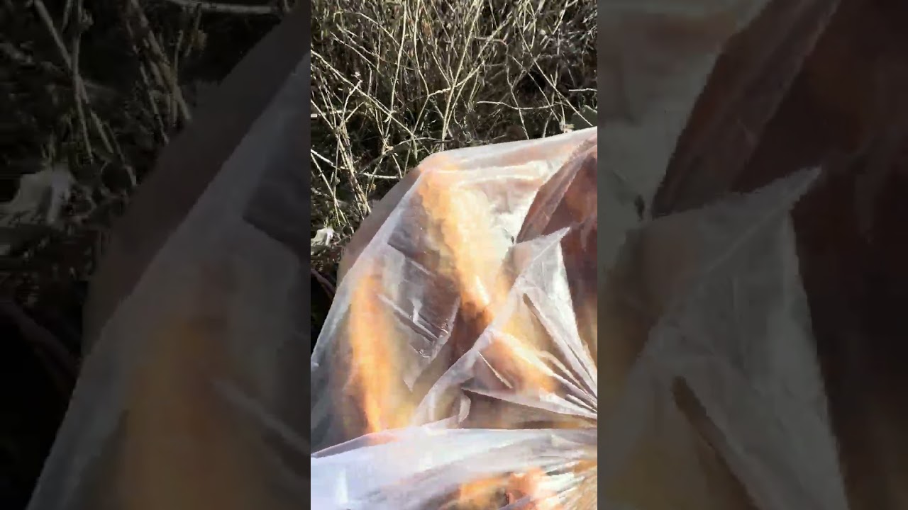 Yasin amcaları onlar için koşturuyor 