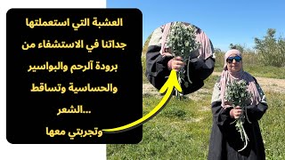 إنها صيدلية زيت مريوت لما استعملتها صدمت من النتيجة ضروري تكون عندك في بيتك تصلح للأطفال والكبار 